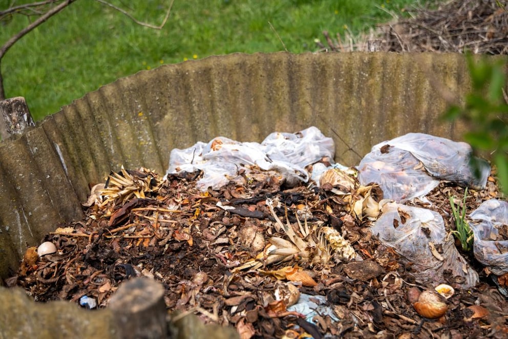 Biologisch abbaubare Müllbeutel gehören nicht in den Biomüll