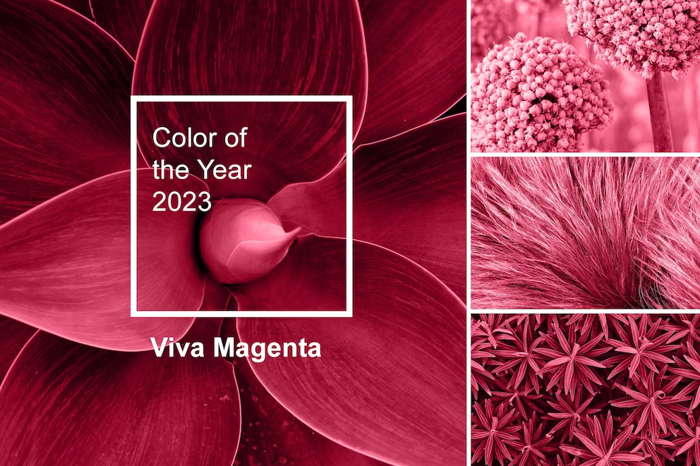 Trendfarbe des Jahres 2023 Pantone Viva Magenta