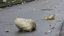 Ein kaputter Gelber Sack und Müll liegen auf der Straße.