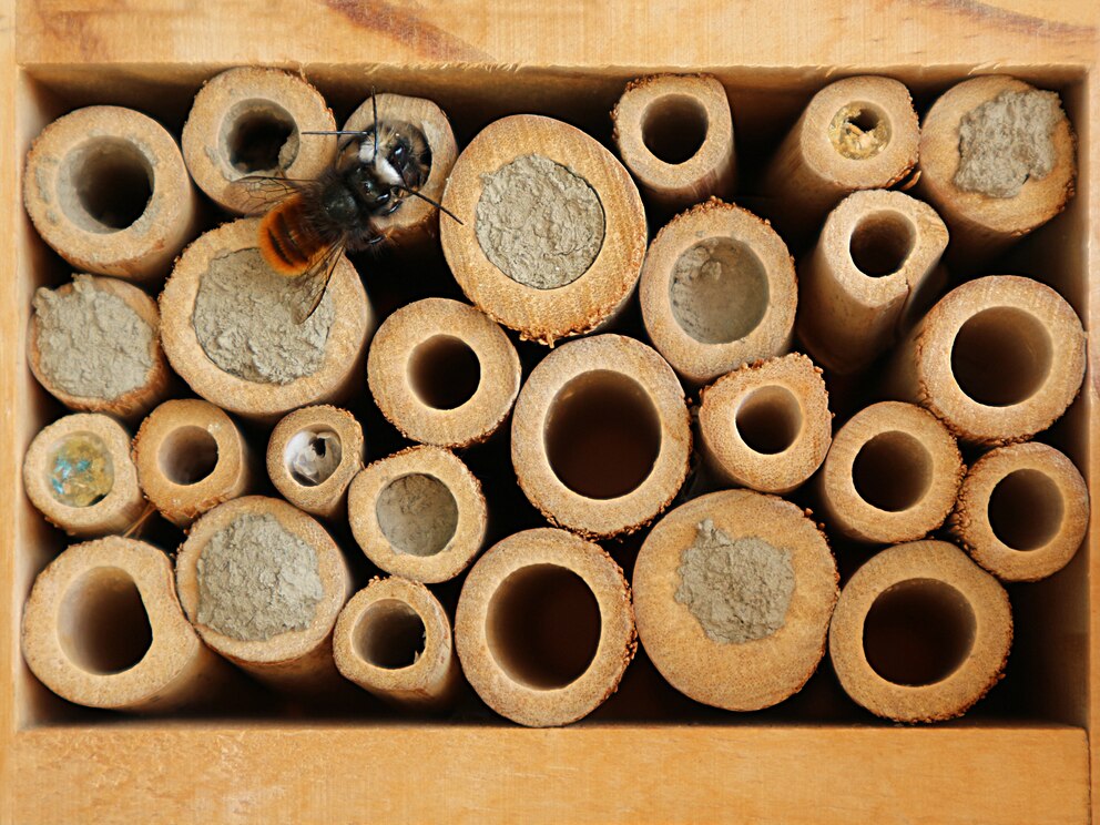 Insektenhotel auf dem nachhaltigen Balkon