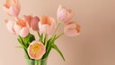 Ein Tulpenstrauß holt den Frühling in die Wohnung und mit der richtigen Pflege bleibt er lange frisch