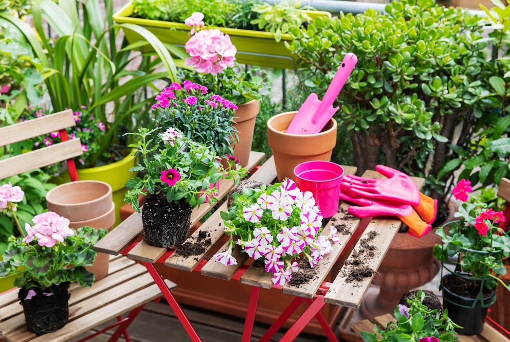 Viele bunte Blumen auf dem Balkon