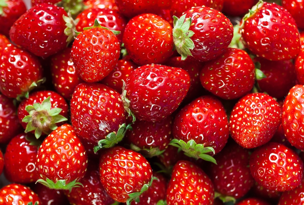 Erdbeeren schmecken nicht nur köstlich, sondern sind durch Vitamine und Mineralstoffen sehr gesund