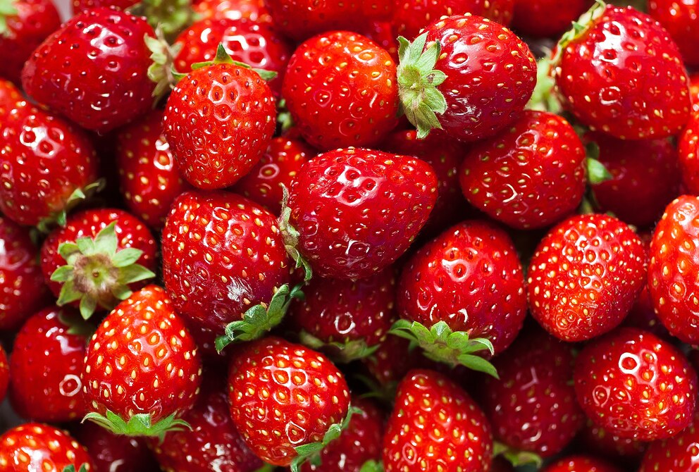 Erdbeeren schmecken nicht nur köstlich, sondern sind durch Vitamine und Mineralstoffen sehr gesund