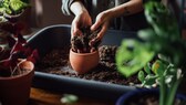 Wirklich nachhaltig Gärtnern ist gar nicht so leicht, man muss auf Details achten