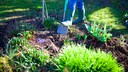 Frau gräbt Beet im Garten um