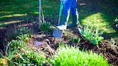 Frau gräbt Beet im Garten um