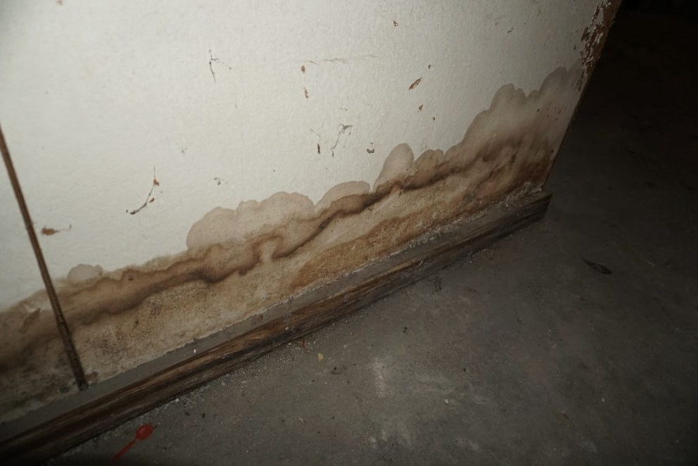 damp basement