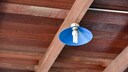 Energiesparlampe Verbot