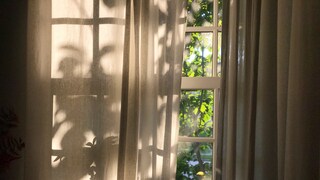 Sichtschutz Fenster