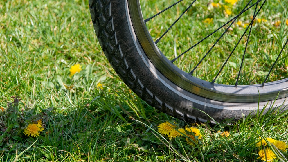 Fahrrad auf Grundstück