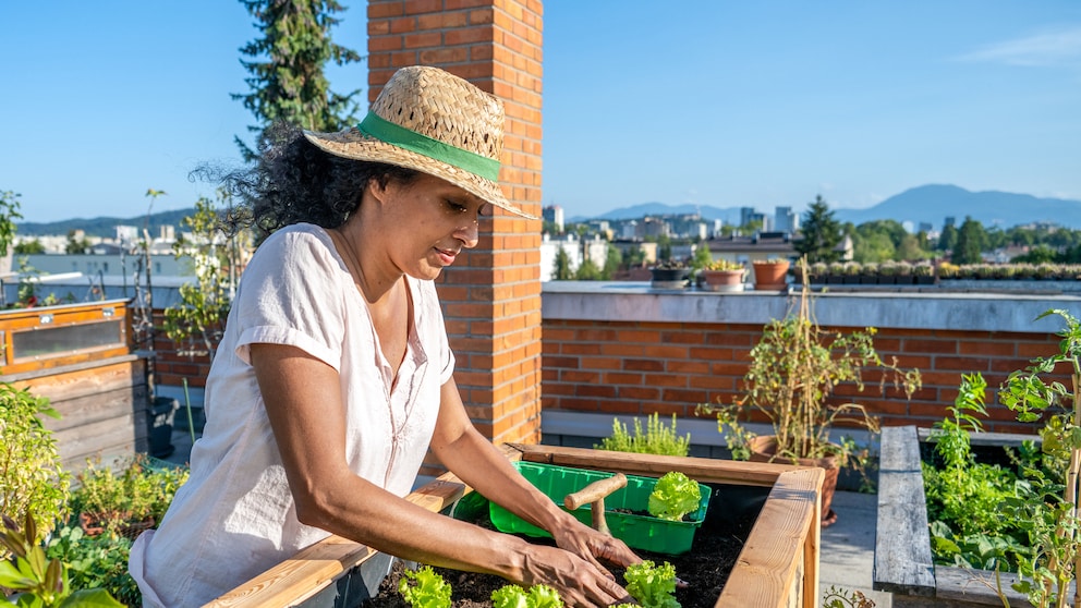 Ein Hochbeet ist eine gute Alternative, um Gemüse anzubauen, wenn man keinen Garten hat