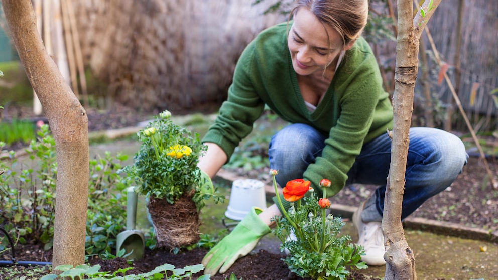 Im Frühling gilt es den Garten auf die kommende Gartensaison so gut wie möglich vorzubereiten