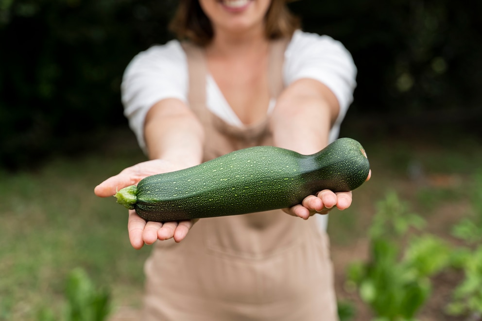 Zucchini