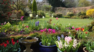 Im April erwacht der Garten erneut zum Leben – Zeit, um Blumen, Sträucher und Gemüse zu pflanzen