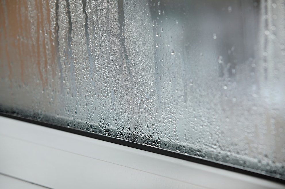 Kondenswasser: Fenster innen beschlagen - was tun & wie vermeiden 