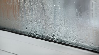 Kondenswasser zwischen den Scheiben