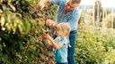 Obstbäume und -sträucher die schnell Früchte tragen
