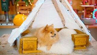 DIY für Hundebesitzer: Mit wenigen Materialien kann man ein gemütliches Hundebeet samt Tipi bauen