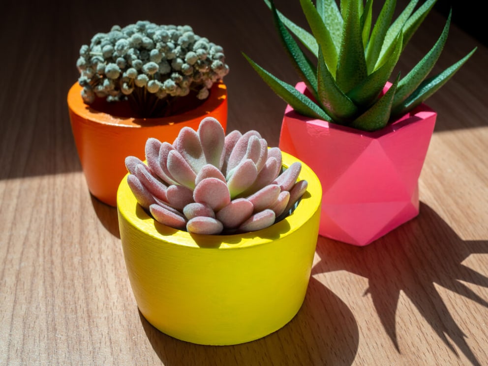 Vibrant color combinations in orange and pink for flower pots