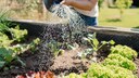 Ob Rasenmähen, Fugen von Unkraut befreien oder Hecken schneiden, es gibt einige unbeliebte Gartenarbeiten. myHOMEBOOK möchte wissen, welche sie am meisten „hassen“