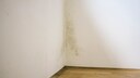 Insbesondere bei einem &uuml;berschaubaren Schimmelbefall neigt man dazu, die Stelle schnell und einfach mit Farbe zu &uuml;berstreichen