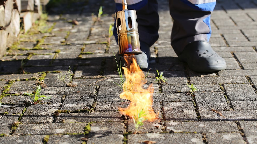 Ist Abflammen eine geeignete Methode, um Unkraut zu entfernen?