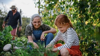 Im Juni gibt es im Garten viel zu tun: Rasen mähen, verblühte Blütenstände schneiden, Stockrosen aussäen