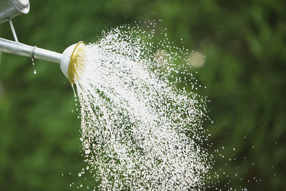 Mit einem Sprengaufsatz kann man das Wasser gleichmäßig verteilen