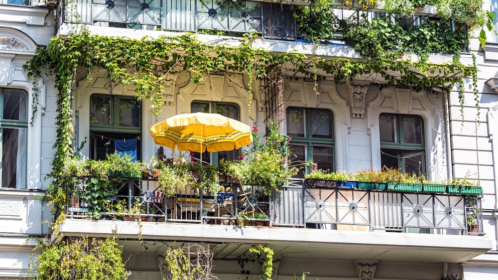 Blumenampeln auf dem Balkon sind okay, bei Kletterpflanzen wird's schwierig