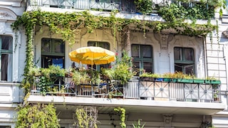 Blumenampeln auf dem Balkon sind okay, bei Kletterpflanzen wird's schwierig