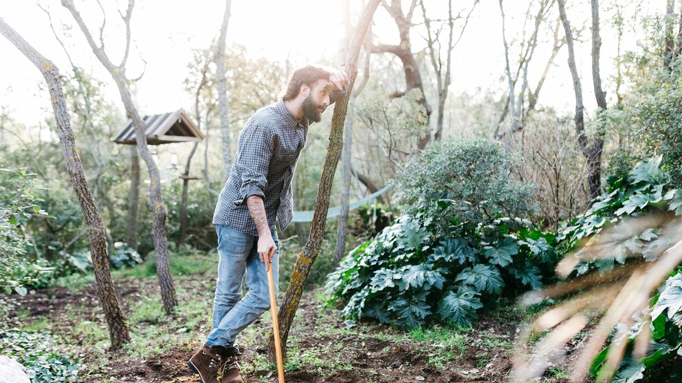 Nicht jeder findet Gartenarbeiten entspannend, ganz im Gegenteil. Gartenarbeit ist meist sogar unbeliebt.