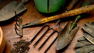 Gartengeräte erleichtern die Arbeit im Garten. Manche nutzt man lieber als andere