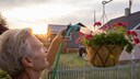 Viele Deutsche fahren mindestens einmal im Jahr in den Urlaub. Was passiert in dieser Zeit mit ihren Pflanzen?