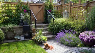 Ein hundegerechter Garten