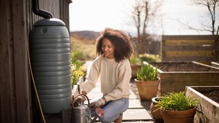 Gesammeltes Regenwasser lässt sich nicht nur zum Pflanzengießen im Garten nutzen
