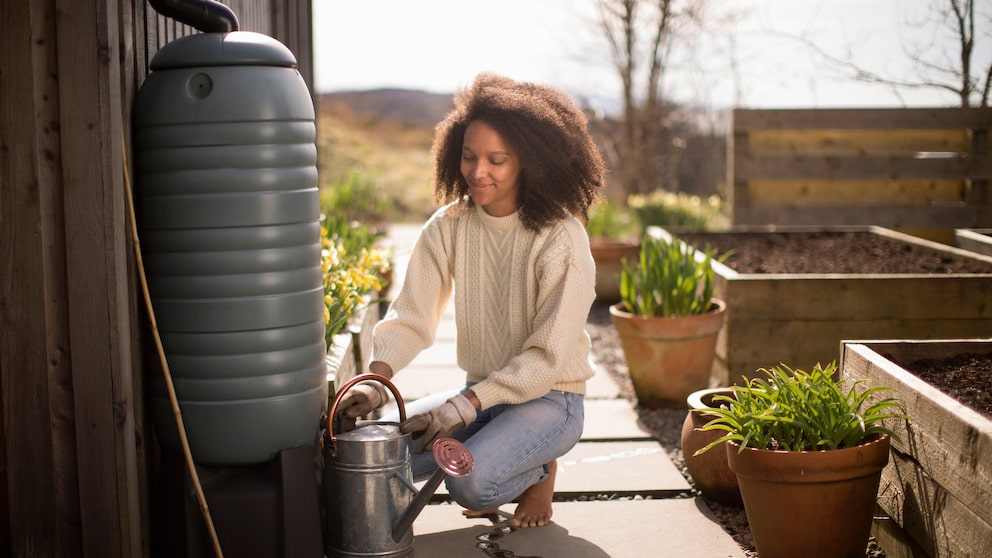 Gesammeltes Regenwasser lässt sich nicht nur zum Pflanzengießen im Garten nutzen