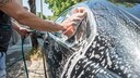 Auto waschen