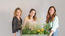 The Plant Box