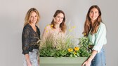 The Plant Box