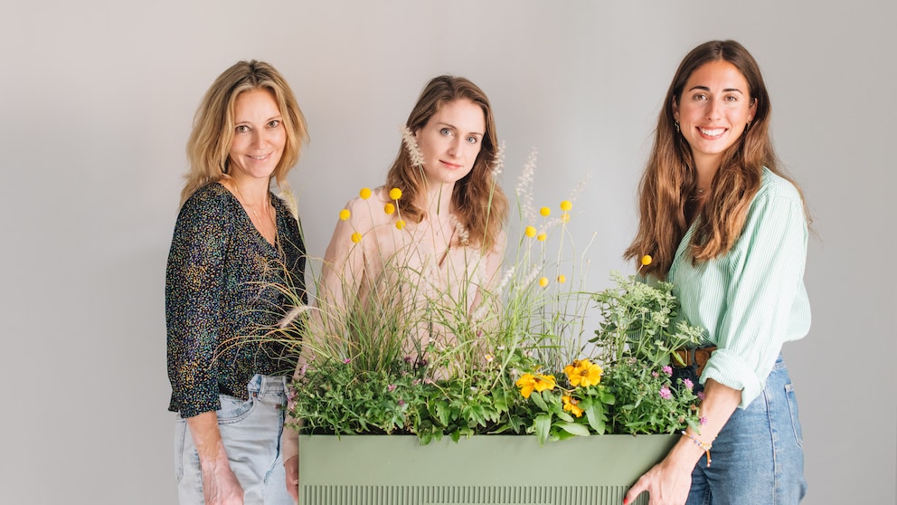 The Plant Box