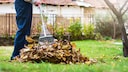 Laub im Garten