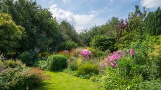 goldene Regeln Gartengestaltung