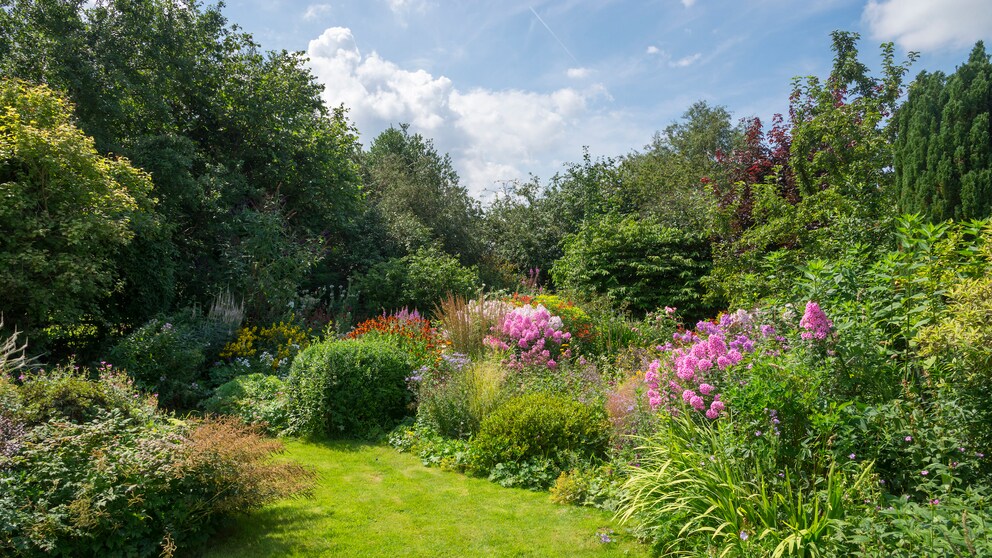 goldene Regeln Gartengestaltung