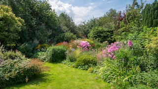 goldene Regeln Gartengestaltung