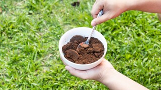 Kaffeesatz für den Rasen