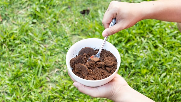 Kaffeesatz als Dünger für den Rasen? Experte erklärt
