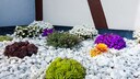 Ob im Gartenbeet oder auch auf dem Balkon: Kieselsteine verleihen einem Bereich einen edlen Flair