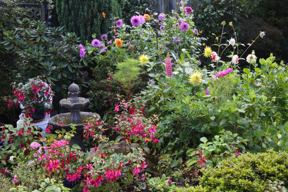 12 bunte Herbstpflanzen für Garten und Balkon