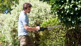 Von März bis September gilt in Deutschland die Schonzeit im Garten, nicht jeder hält sich daran